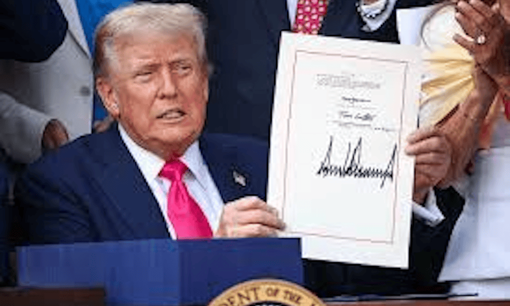 Trump Blog Image